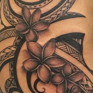 Meet your Posher, Billie ann